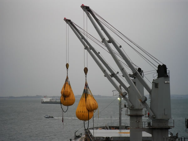 slewing ring application in ship crane применение поворотного кольца в судовом кране